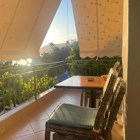 Bella Vista * ボルシュ